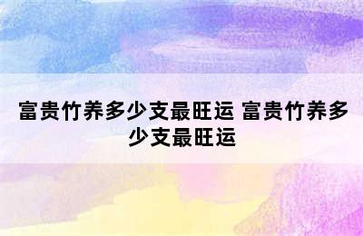 富贵竹养多少支最旺运 富贵竹养多少支最旺运